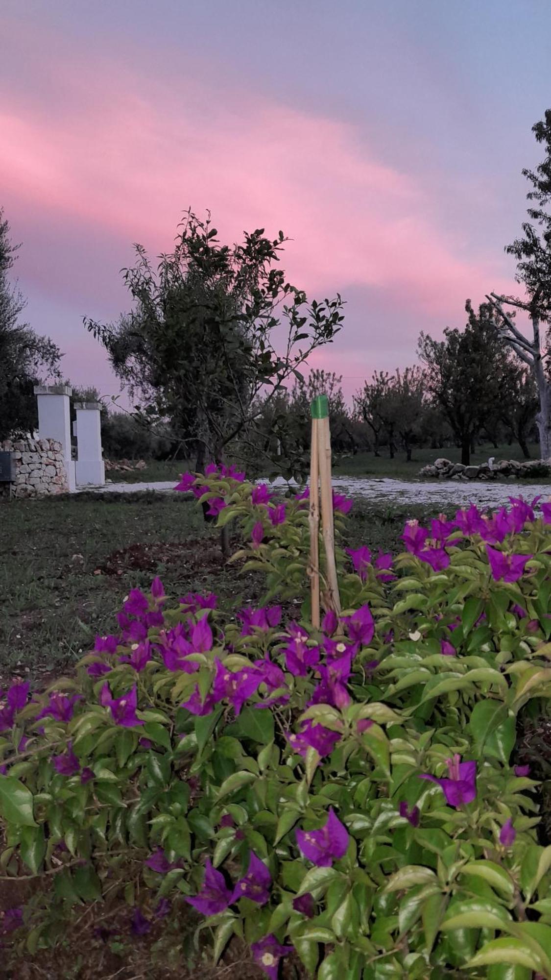 فيلا Trullo Zurlo أوستوني المظهر الخارجي الصورة